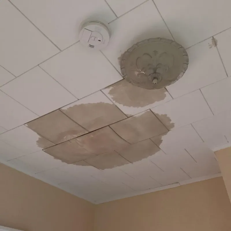 Ceiling Water Damage Repair in Bladen County, NC