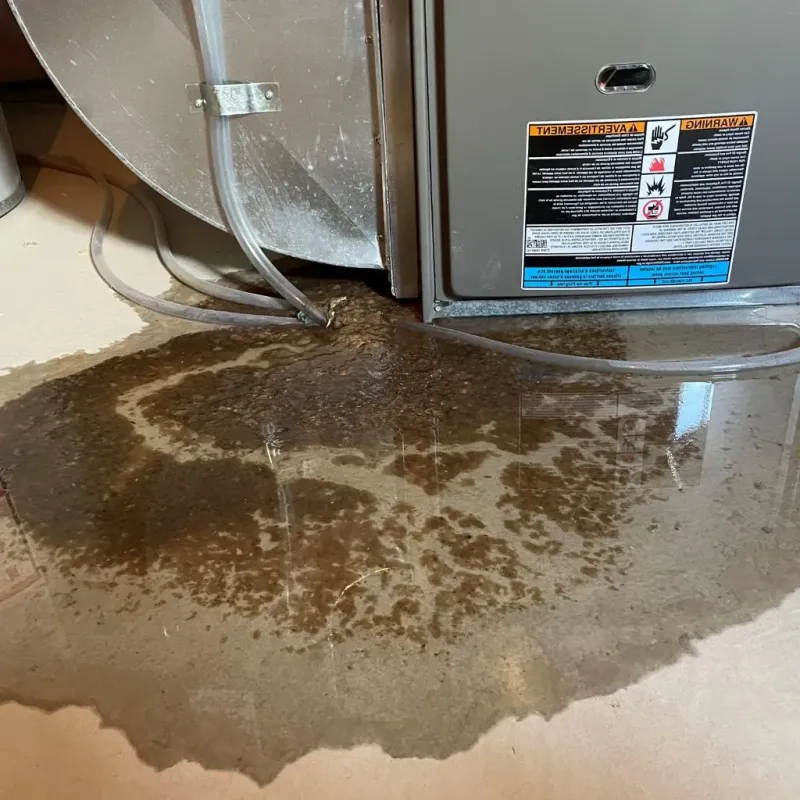 Pipe Burst and Leak Restoration in Bladen County, NC