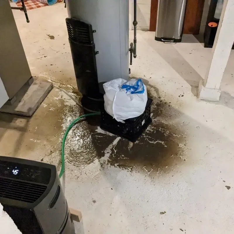 Sewage Backup Cleanup Service in Bladen County, NC